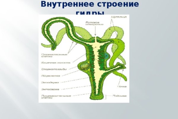 Кракен маркетплейс как зайти