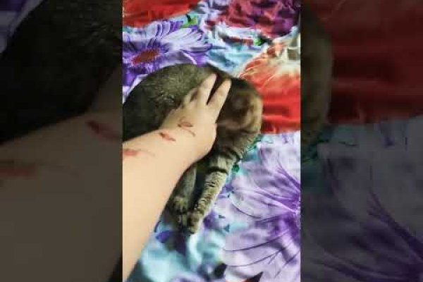 Забыл пароль от кракен