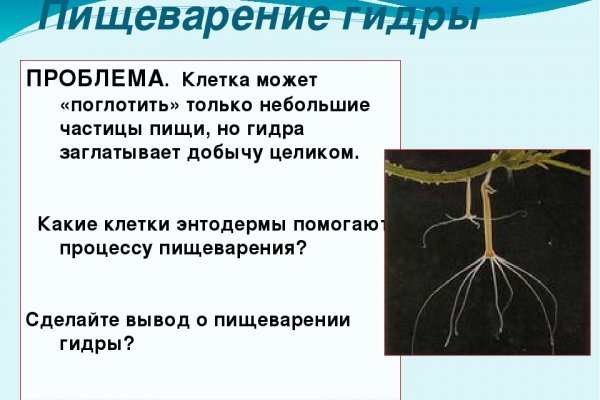 Kraken 17at