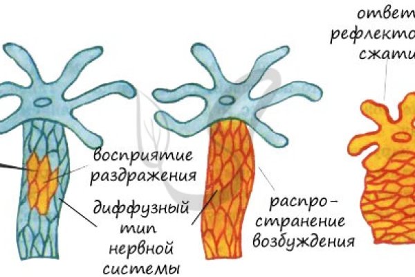 Наркосайт кракен